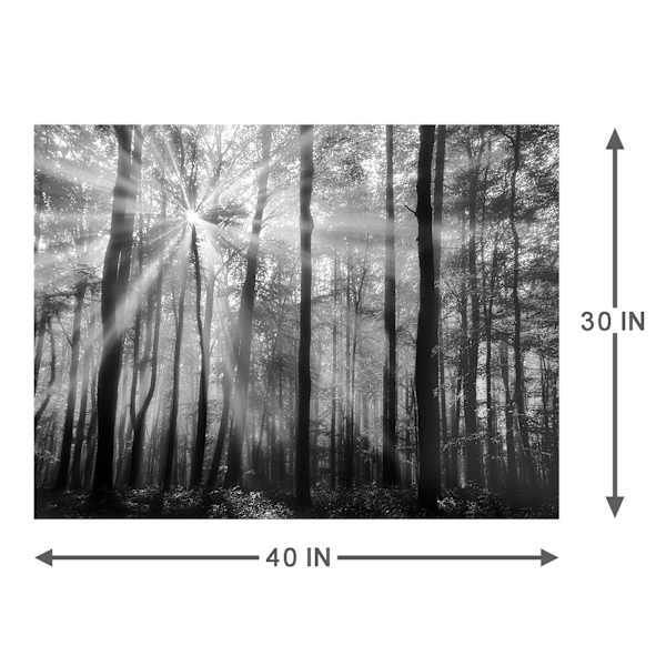 Forest Trees Canvas Wall Art, 40x30