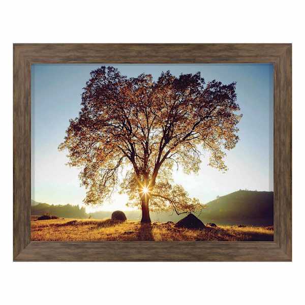 Framed Black Oak Sunset Textured Wall Art, 36x46