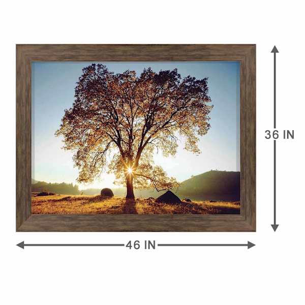 Framed Black Oak Sunset Textured Wall Art, 36x46