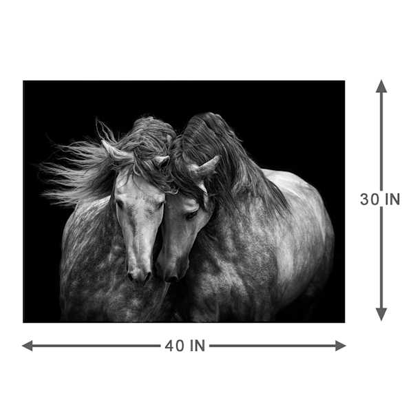 Horse Canvas Wall Art, 40x30