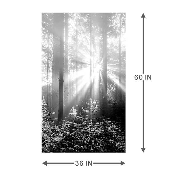 Forest Canvas Wall Art, 36x60