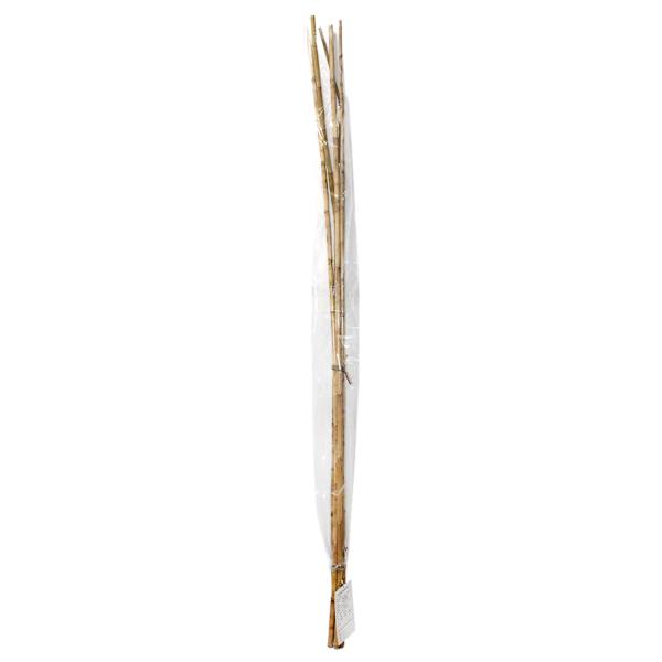 Found & Fable 5-Piece Natural Nanal Stick Bunch