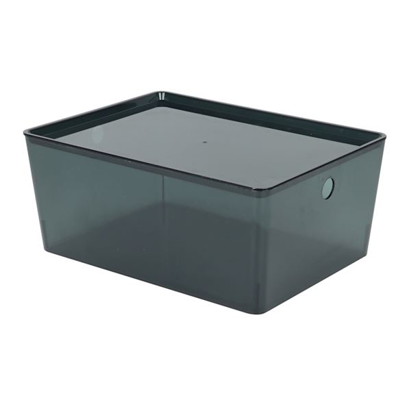 Clear & Black Storage Container, Large