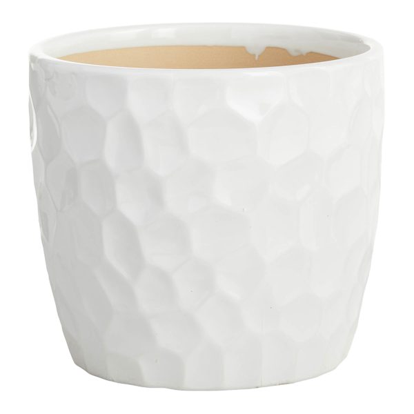 Crosby St. Elena White Indoor Ceramic Pot, Medium