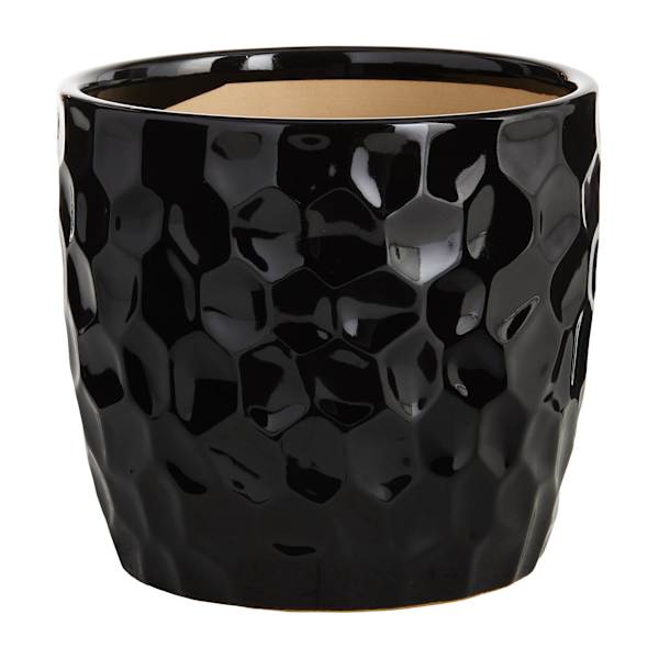 Crosby St. Elena Black Indoor Ceramic Planter, Medium