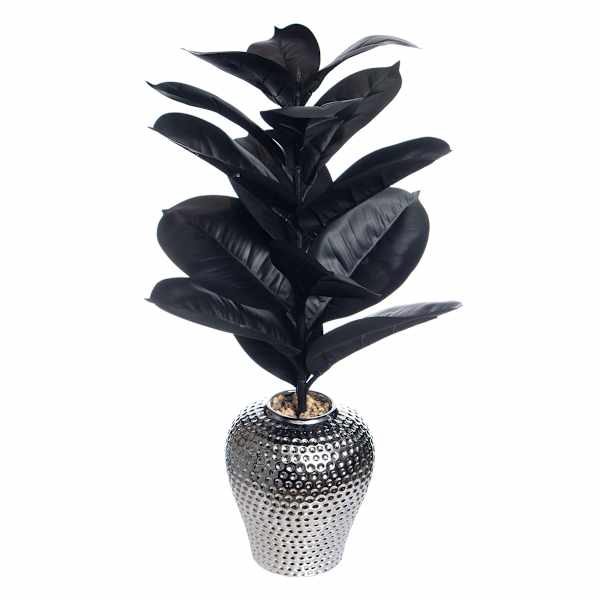 Rubber Plant in Metallic Pot, 23"