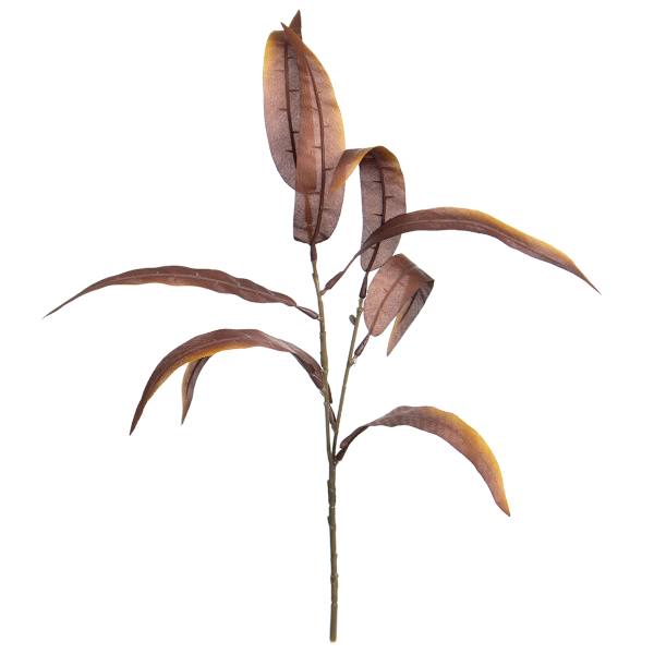 Brown Long Eucalyptus Pick, 13"