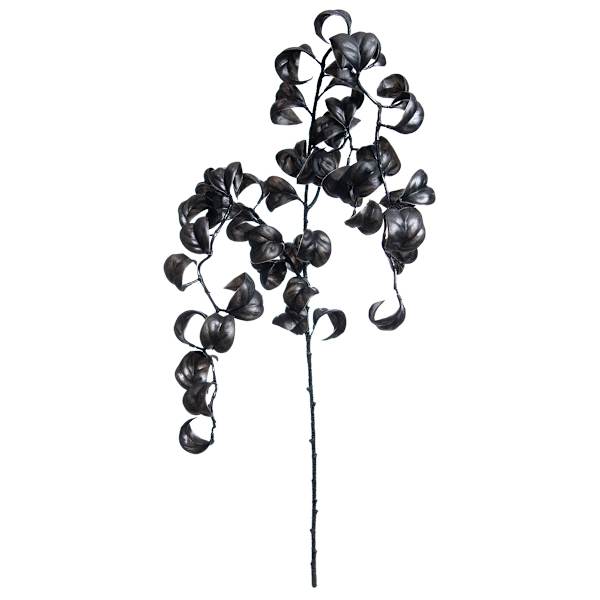 Midnight Shadows Black Curly Leaf Hanging Spray, 37"