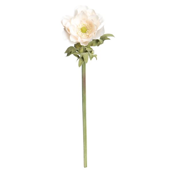 Willow Crossley White Anemone Floral Stem, 17"