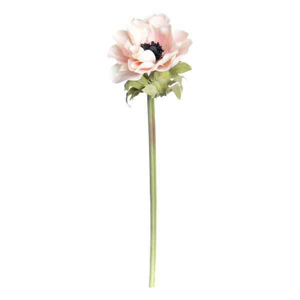 Willow Crossley Light Pink Anemone Stem, 17"