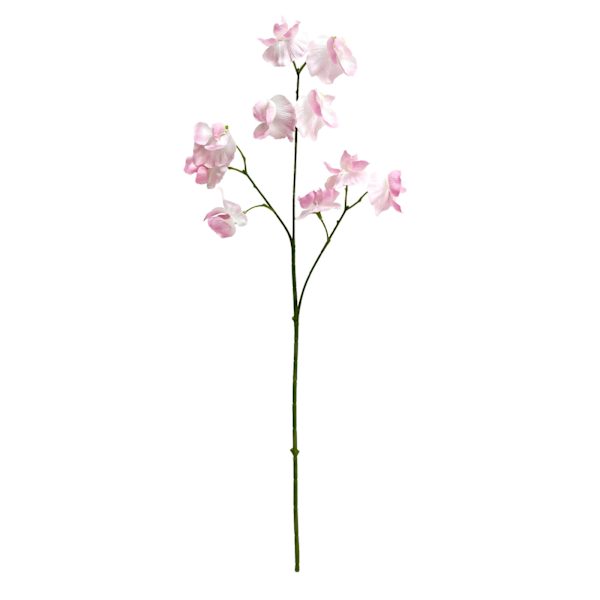 Willow Crossley Pink Real Feel Pea Flower Spray, 23.6"