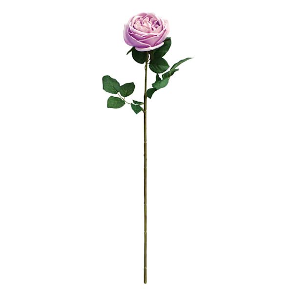 Willow Crossley Light Purple Real Feel Rose Floral Stem, 25.6"
