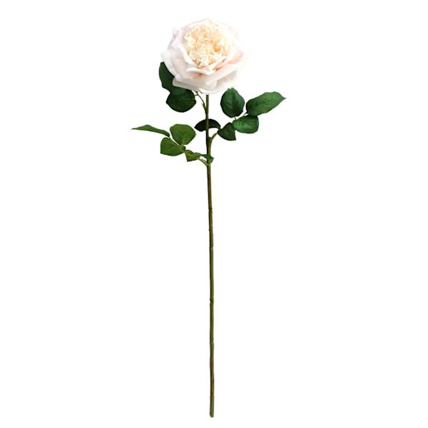 Willow Crossley Cream Real Feel Rose Floral Pick, 25.6"