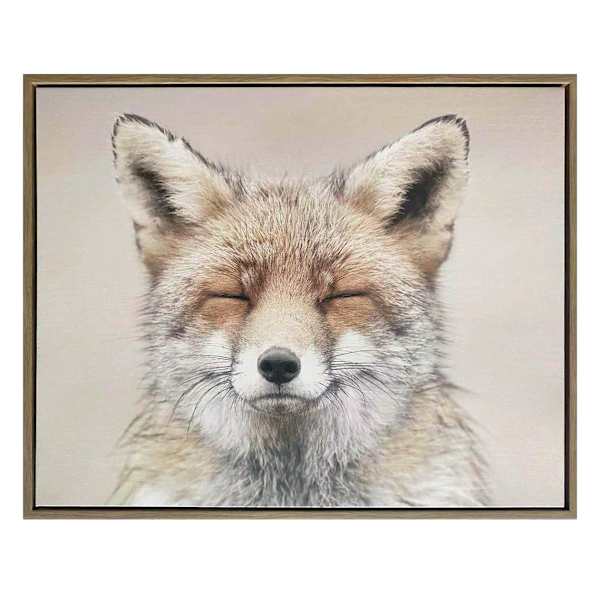 Ty Pennington Zen Fox Portrait Canvas Wall Art, 20x16