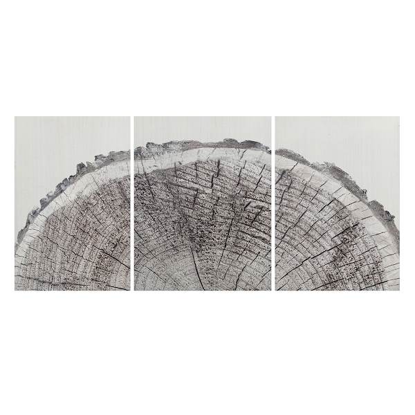 Ty Pennington 3-Piece Tree Rings Wooden Wall Art, 24x48