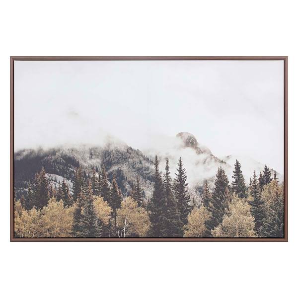 Ty Pennington Framed Snow Mountain Canvas Wall Art, 26x24