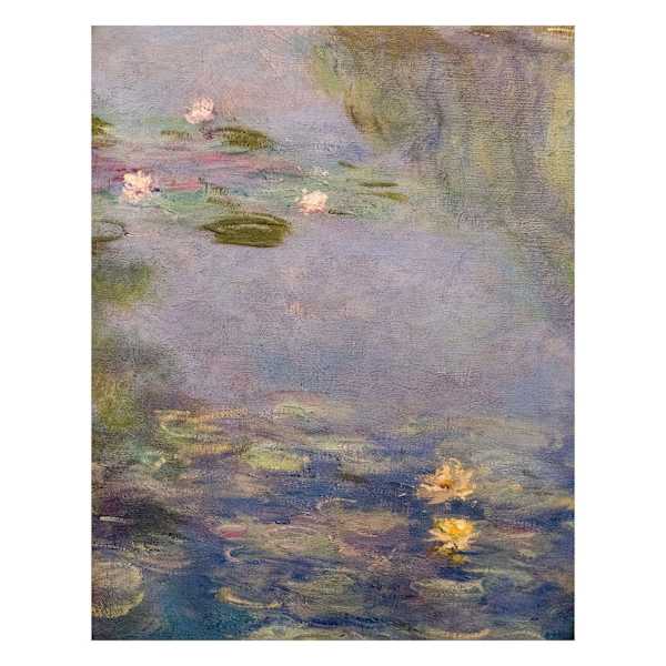 Nymphaea's Canvas Wall Art, 11x14