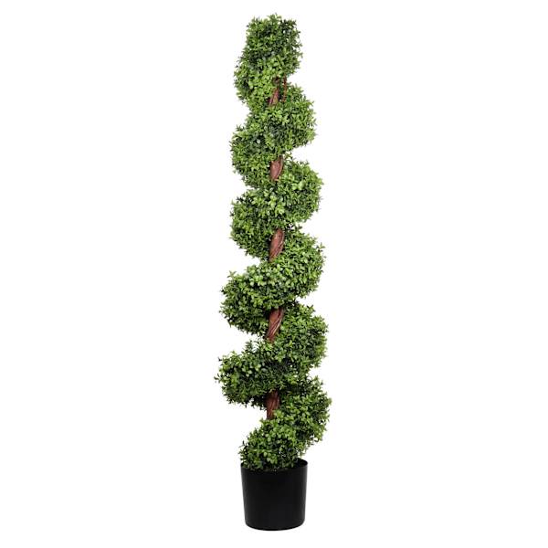 Spiral Topiary in Black Pot, 60"