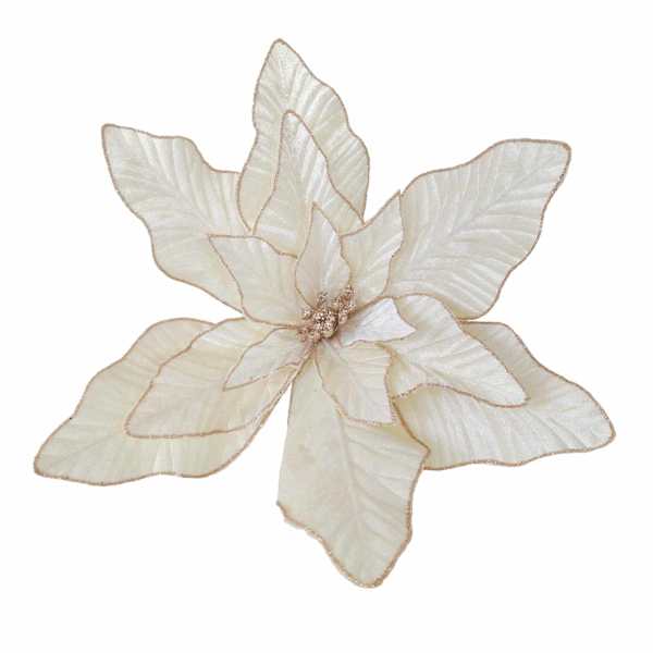 Ivory & Gold Poinsettia, 5.5"