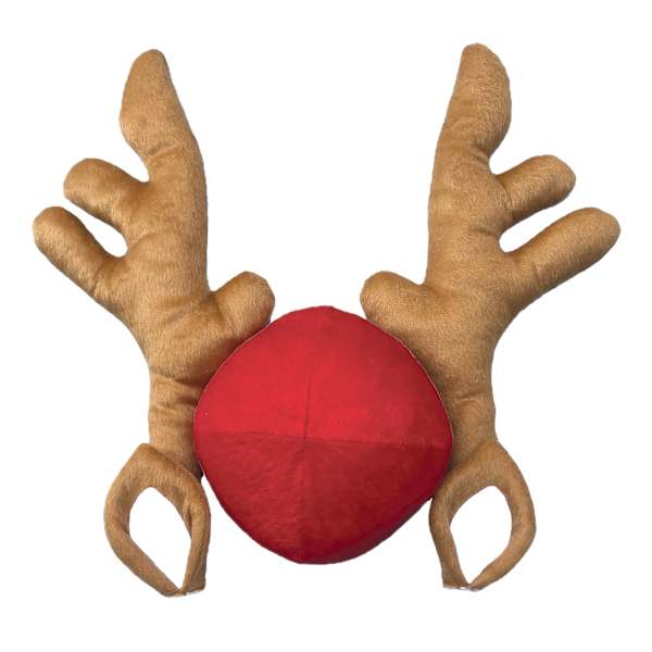 Reindeer Car Kit