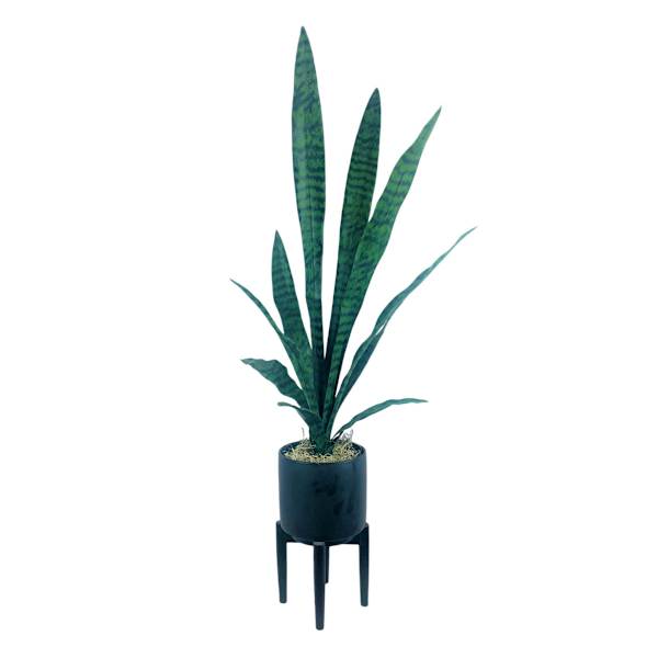 Snake Plant in Ceramic Stand, 44"