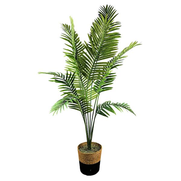Palm Plant in Decorative Basket, 6'