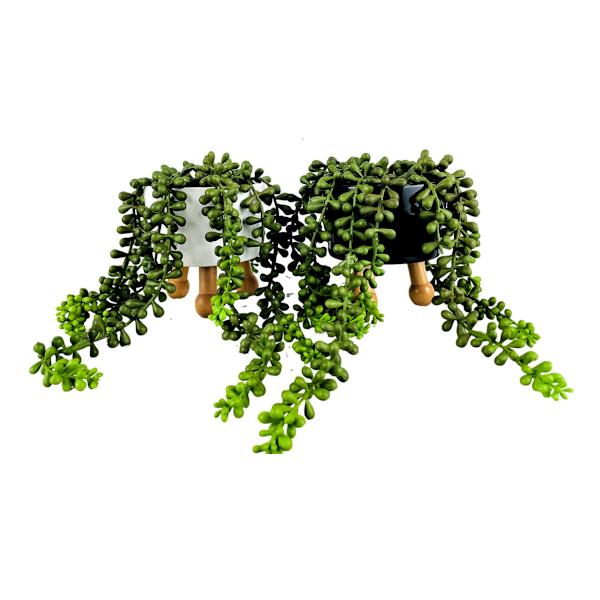 String of Pearls in Tripod Pot, 12"