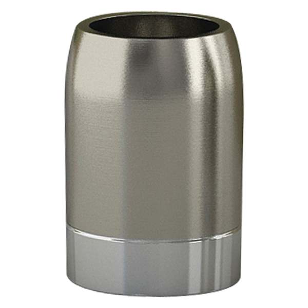 Providence Esme Silver Matte & Shiny Steel Tumbler, 5"