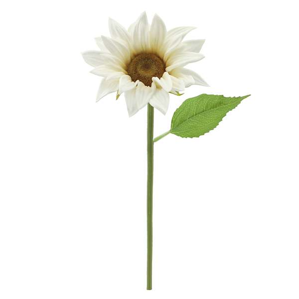Willow Crossley White Sunflower Floral Pick, 12.5"