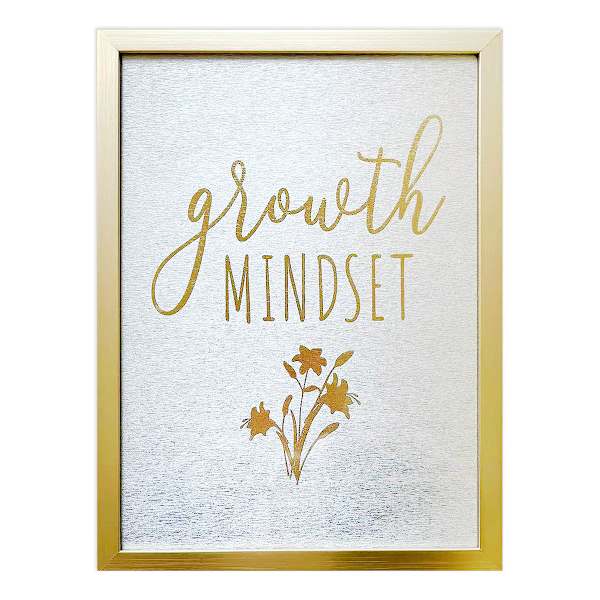 Glass Framed Foiled Growth Mindset Print Wall Sign, 12x16
