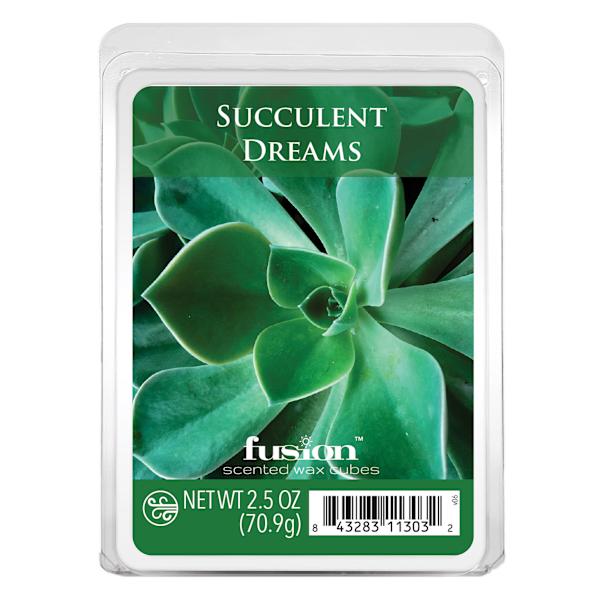 Succulent Dreams Scented Wax Melts, 2.5oz