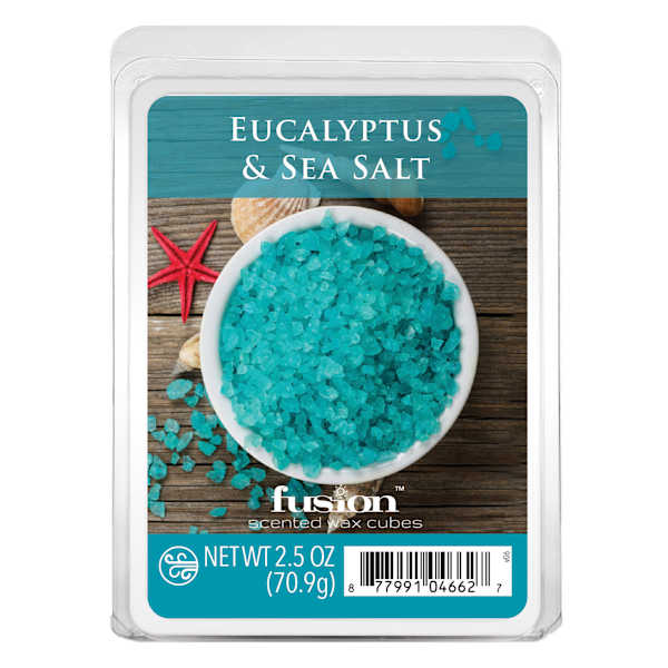 Eucalyptus & Sea Salt Scented Wax Melts, 2.5oz