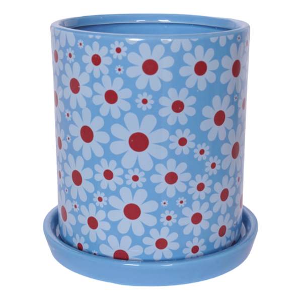 Indoor Marigold Blue Planter, 7"