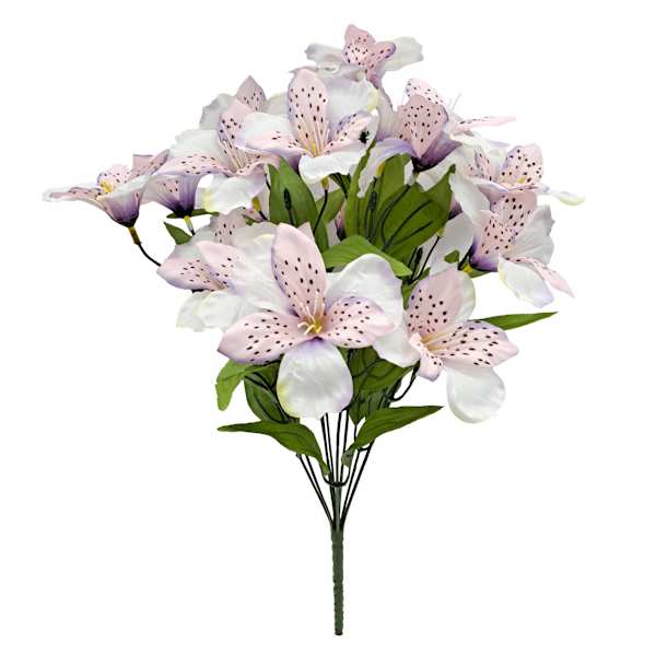 Cream & Purple Alstroemeria Bush, 18"