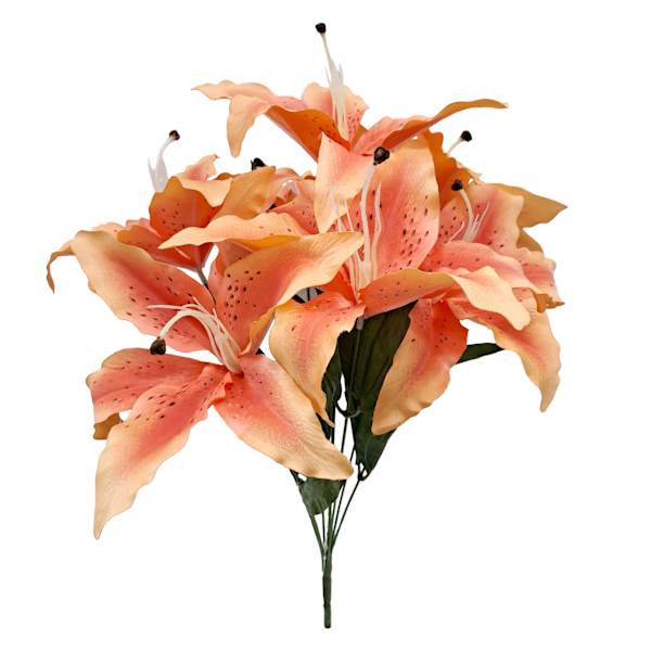 Peach Tiger Lily Bush, 19"