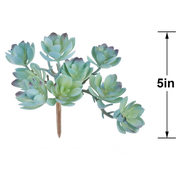 Green Echeveria Pick, 5"