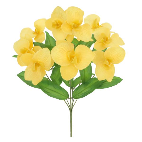 Yellow Orchid Bush, 18"