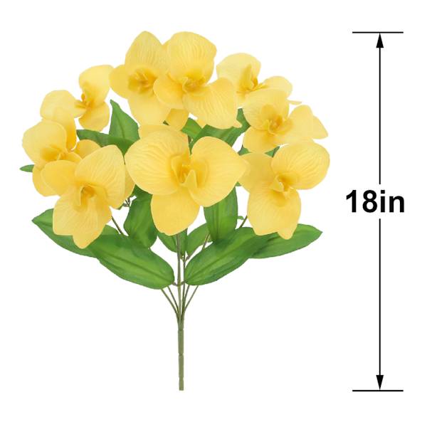 Yellow Orchid Bush, 18"