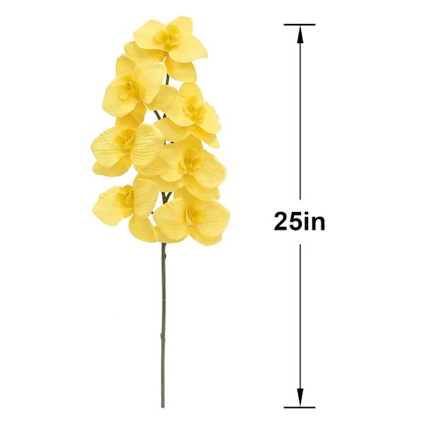 Yellow Orchid Stem, 25"