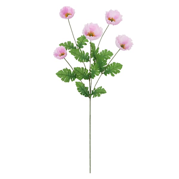 Purple Poppy Stem, 30.25"