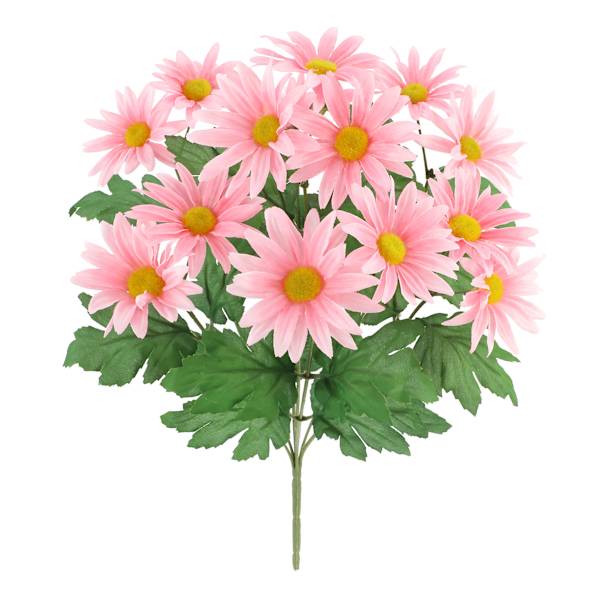 Pink Daisy Bush, 18"