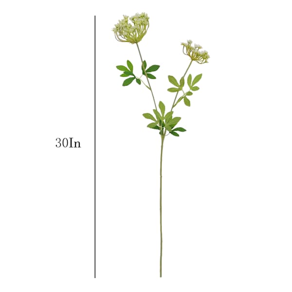 Green Queen Anne's Lace Stem, 30"