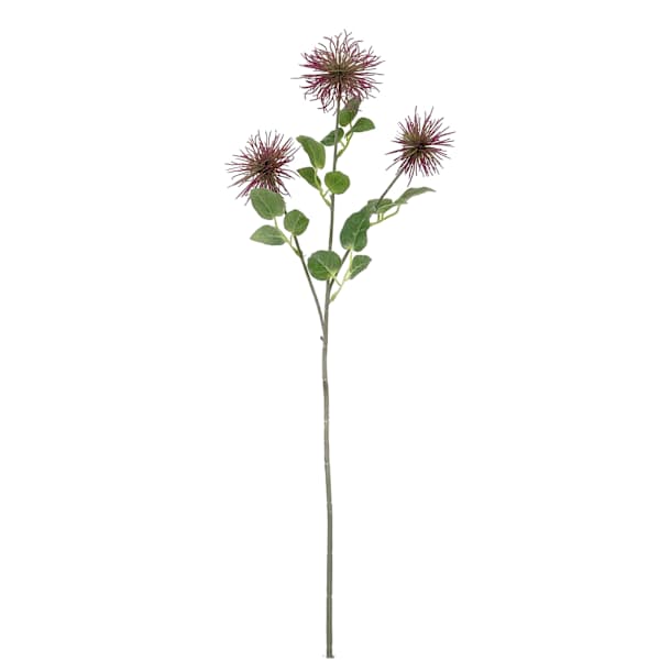 Purple Xanthium Stem, 28"
