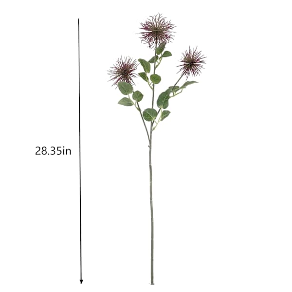 Purple Xanthium Stem, 28"