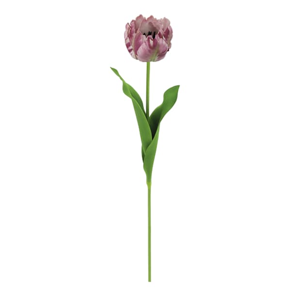 Willow Crossley Purple Soft Touch 4-Layer Parrot Tulip Floral Stem, 28"