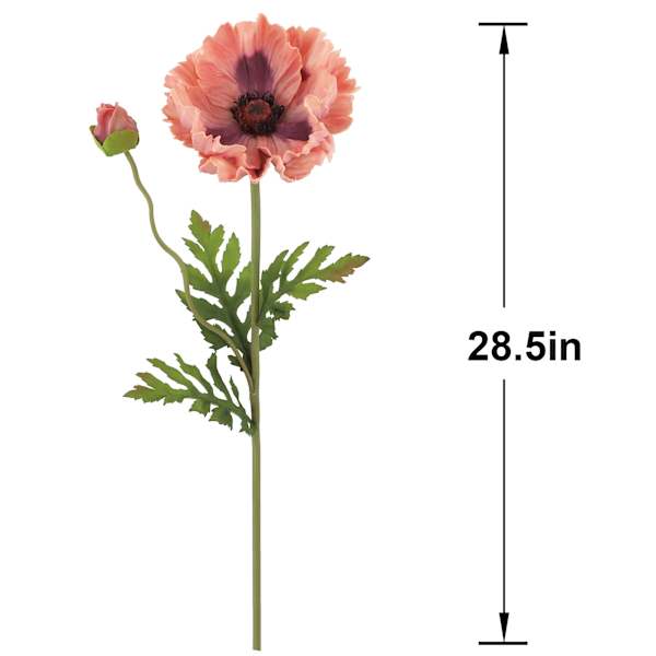 Willow Crossley Pink Poppy Floral Stem, 28.5"