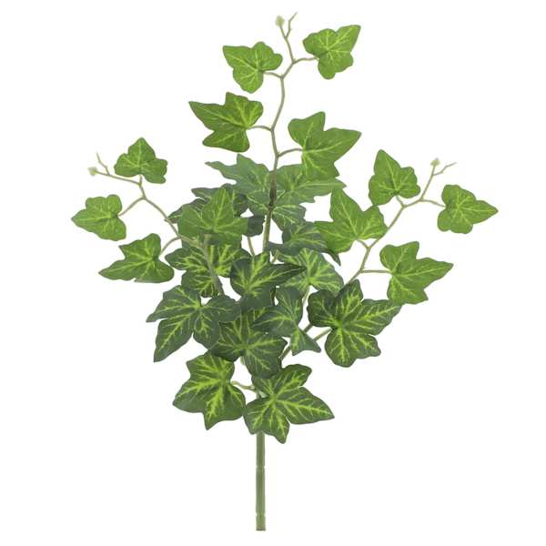 Green Ivy Pick, 12"