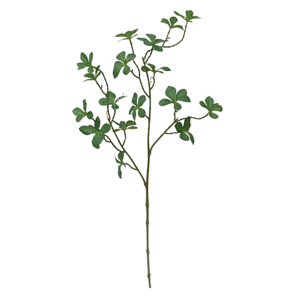 Willow Crossley Bell Leaves Pick, 29.5"