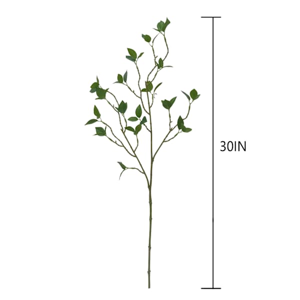 Willow Crossley Watercress Leaves Stem, 30"