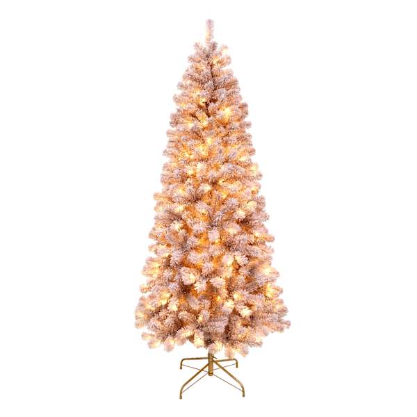 Rose 7 christmas discount